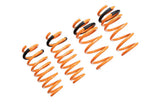 Tesla Model 3 17+ (RWD Only) Lowering Springs - MR-LS-TSL17