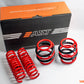 AST 12/1982-05/1993 Mercedes-Benz Lowering Springs - 40mm/40mm