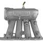 Skunk2 Pro Series 90-01 Honda/Acura B18A/B/B20 DOHC Intake Manifold w/o Gasket (CARB Exempt)