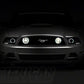 Raxiom 13-14 Ford Mustang GT CCFL Halo Fog Lights- Chrome