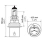 Hella Bulb 9004 12V 65/45W Xen Wht Xb (2)