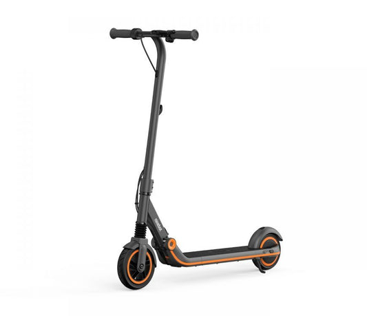 Ninebot Zing E12 Kids Scooter