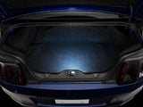Raxiom 05-14 Ford Mustang Axial Series LED Trunk Courtesy Lamp