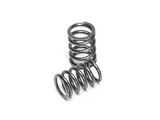 Supertech Toyota 4AGE 20V / VW 1.8T AEB / 2.7T APB 5V Intake Valve Spring (Drop Ship Only)