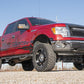 Mesh Grille | 30" Dual Row LED | Black | White DRL | Ford F-150 (09-14)